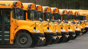 busses